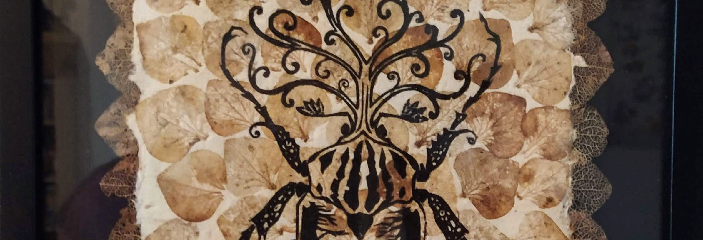 IMG_20241119_151551b