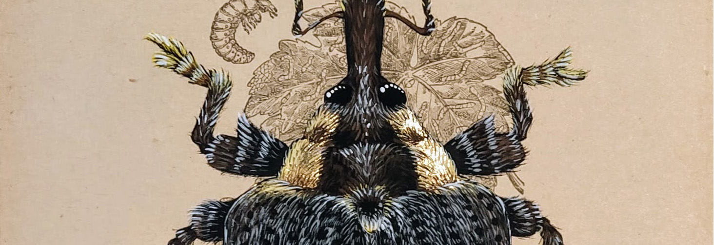 IMG_20250926_174121b